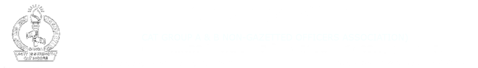 CAT GROUP A &amp; B NON-GAZETTED OFFICERS ASSOCIATION